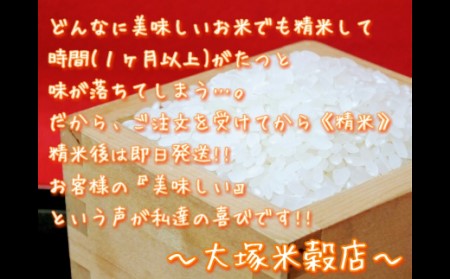 《マイスターセレクト》さがびより【白米】5kg【特A評価】 086-B771 米 お米 精米 白米