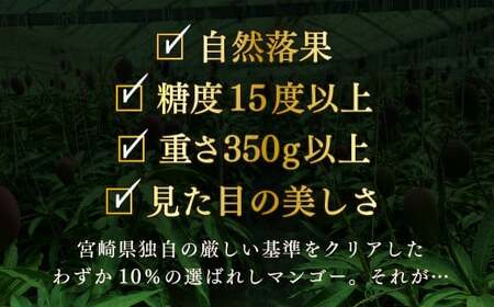 【先行予約/数量限定】完熟マンゴー「太陽のタマゴ」５L×１玉 濃厚 宮崎県産 高級 果物 フルーツ 贈答 ギフト 太陽のタマゴ 送料無料【JA綾町】_A0114-2321