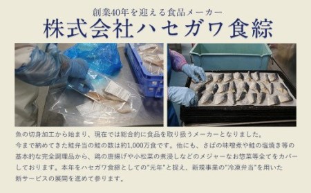 骨取り 天然 塩さばフィレ 5切×2パック 計1.4kg（真空パック入り）