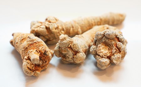 田七人参錠剤 「白井田七。240粒ビン入り」  約１カ月分 サプリ