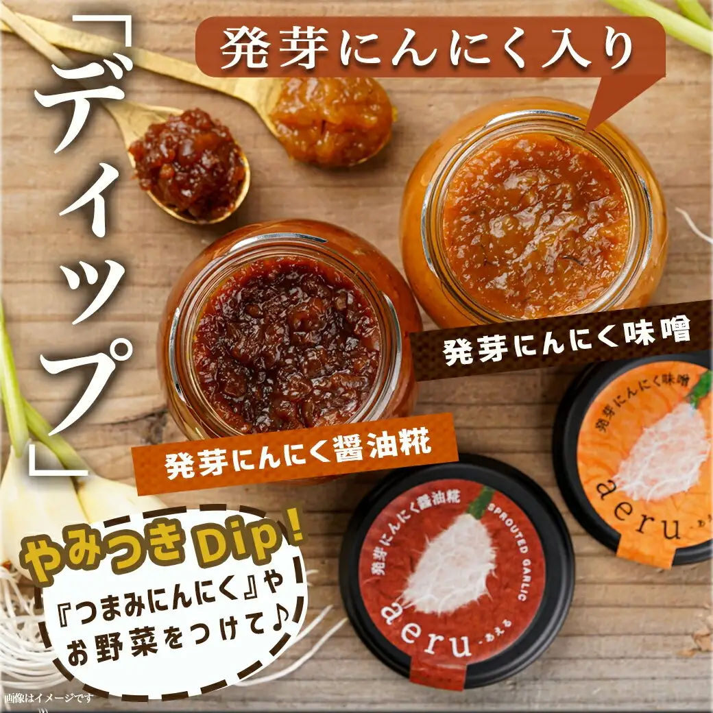 スーパーフード!つまみにんにく&ディップセット ≪みやこんじょ特急便≫〔AA-C902〕_(都城市) 発芽にんにく味噌/発芽にんにく醤油糀 国産にんにく レシピ入り にんにく特有のにおい残りが少ない 冷蔵配送
