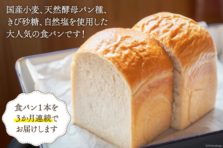 3回 定期便 食パン 天然酵母食パン 1本 [ウィメンズアイ 宮城県 南三陸町 30aq0001]
