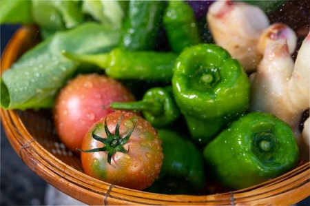 越知産市の季節の野菜セット(年6回発送) 奇数月