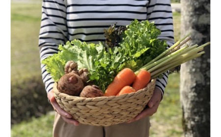 越知産市の季節の野菜セット(年6回発送) 偶数月
