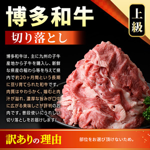 ＜訳アリ＞【A4～A5】博多和牛しゃぶしゃぶすき焼きセット(750g) 国産 九州産 福岡県産 牛肉 和牛 黒毛和牛 すきやき スキヤキ お肉 スライス 切り落とし【MEAT PLUS】as08-012