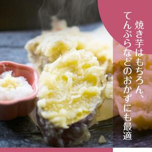 2025年度産 ホクホクで甘いさつまいも すずほっくり 約5kg｜さつまいも 芋 お芋 すずほっくり 渋谷農園 茨城県 行方市(BZ-13)