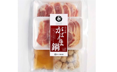 ＜鶏だしの美味しさを堪能！＞みつせ鶏 がばうま鍋（鶏だし）3?4人分×2袋 吉野ヶ里町/ヨコオフーズ とりにく 鳥 鳥肉 鶏肉 鶏肉 ヤンニョンチキン 簡単調理 チキン 韓国料理 チンするだけ レンジ [FAE124]