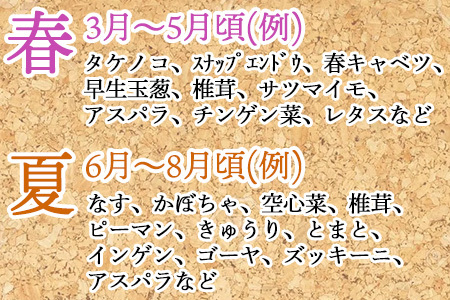 野菜セット 新鮮とれたて旬の野菜 季節の野菜 詰合せ サラダ