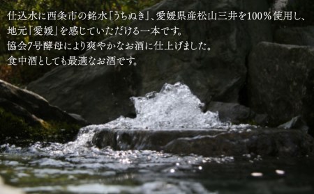 武田酒造「媛一会」泉水仕込み 純米吟醸【ＵＫ-７】720ml　日本酒