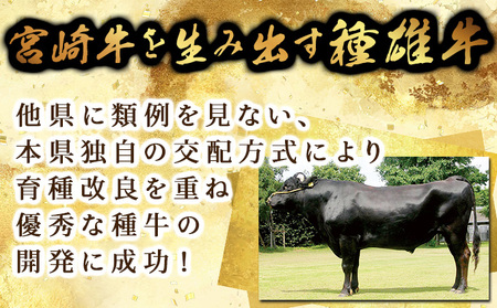 宮崎牛 モモステーキ 計500ｇ（100g×5）_K030-004