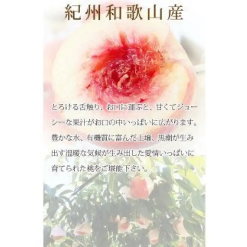 桃 秀品の桃 3玉【uot750】