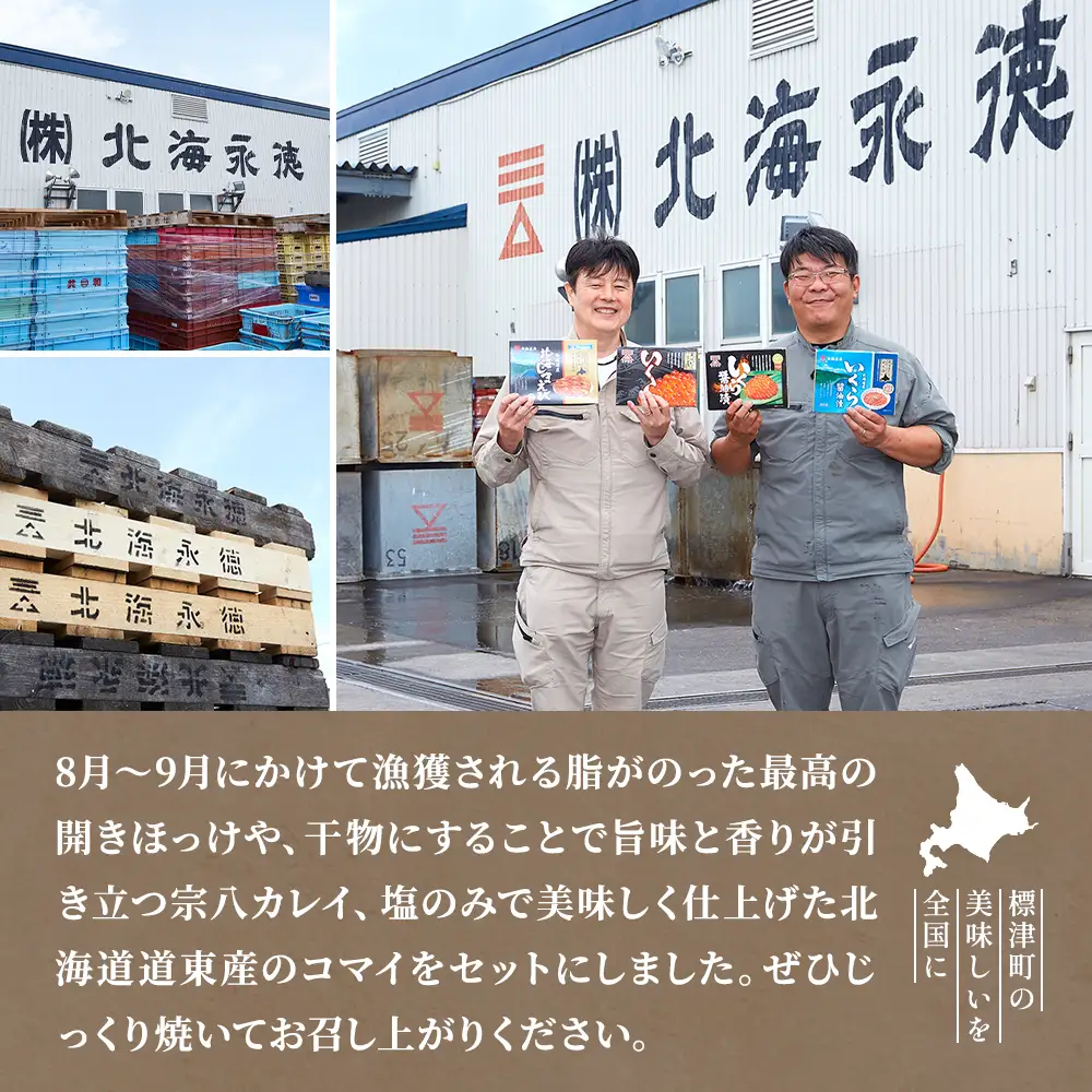 【北海道産】無添加物天然干物セット3種　ホッケ カレイ コマイ 冷凍 袋【配送不可地域：離島】【AF008】