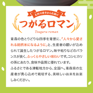 【令和7年産米】 米 つがるロマン 10kg （5kg×2） 特別栽培米 青森県産 【KonRiceFarmの お米 精米 白米 青森 五所川原 】