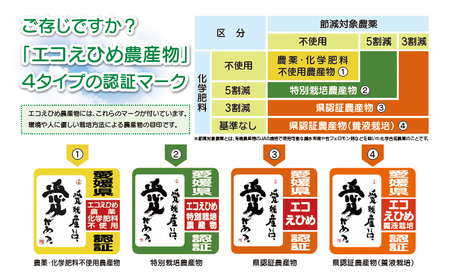 【精米】 令和7年度産 コシヒカリ 8kg 農業組合法人はざめ 精米 G025-015001