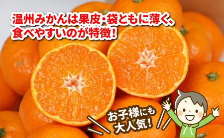 【米】温州みかん小玉約3kg伊達米コシヒカリ3kgWF│B012-024003