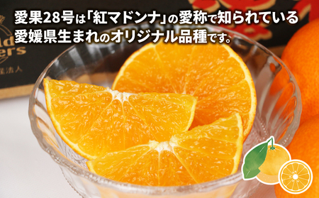 愛果28号 4kg ワールドファーマーズ B015-024004