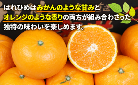 【柑橘】はれひめ4kgWF柑橘B012-024005