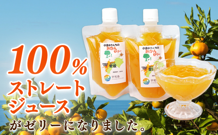 ゼリー 小清水さんちの みかんゼリー 小清水農園 7個 J010-033002