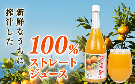 みかんジュース ゼリー│ みかんジュース 小清水農園 H024-033004