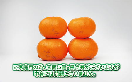 愛媛みかん 9kg 早生温州 家庭用 つばさ農園 温州 B010-048005