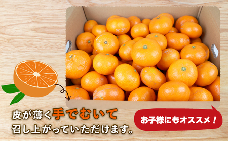  【 みかん 】みかん南柑20号10kg家庭用上杉果樹園|B012-056002