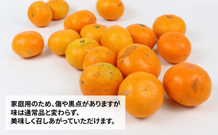 愛媛県産　うまい！　早生みかん　みかん　柑橘　10kg 愛媛県西宇和産極早生みかん 訳あり10kg