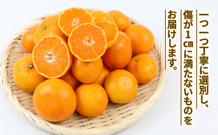 贈答用 優品 愛媛 みかん 早生 温州 10kg サイズ不揃い NBU B018-058004