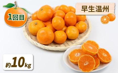 【定期便】みかん定期便柑橘3回NBU |B050-058007 みかん