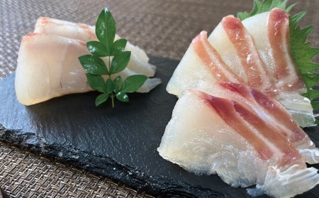 【真鯛】【昆布〆】 350g 辻水産 / D012-062004