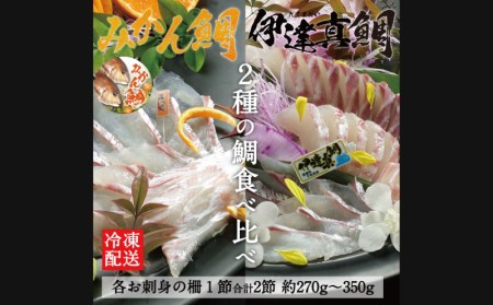 みかん 鯛 ＆ 伊達 真鯛 270g ~ 350g 刺身 宇和島プロジェクト D012-071003