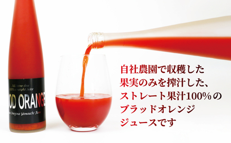ブラッド オレンジジュース 370ml ×2本 YAMAUCHI FARM オレンジジュース H016-084001