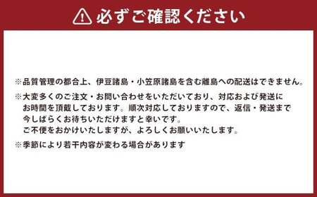 【希少豚使用】素材の旨みを引き出した ハム ウインナー 9種セット ギフトセットB 【リバーワイルド・ハム・ファクトリー】 耳納あかぶた ドイツ製法 ソーセージ ハム ベーコン ウインナー ギフトセット 詰め合わせ