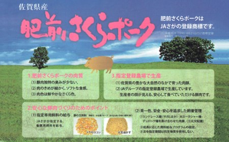 佐賀県産肥前さくらポーク切り落とし 500g×4パック _b-342