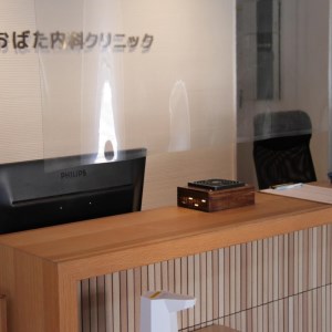 次世代光触媒を採用した空気清浄機　ウイルス分解除去クリーナー　ブラウン【027-0009】家電 細菌 脱臭 送料無料