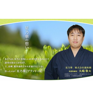【八女茶】訳あり品 八女星野茶 深蒸し茶 1100g お茶【015-0011】