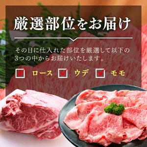 博多和牛A5しゃぶしゃぶすき焼き用＜厳選部位＞(ロース肉・モモ肉・ウデ肉)500g 牛肉 黒毛和牛【014-0025】