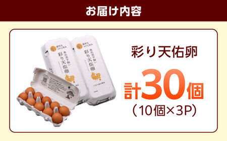 卵 彩り天佑卵 30個 平飼いたまご [AIDL001]