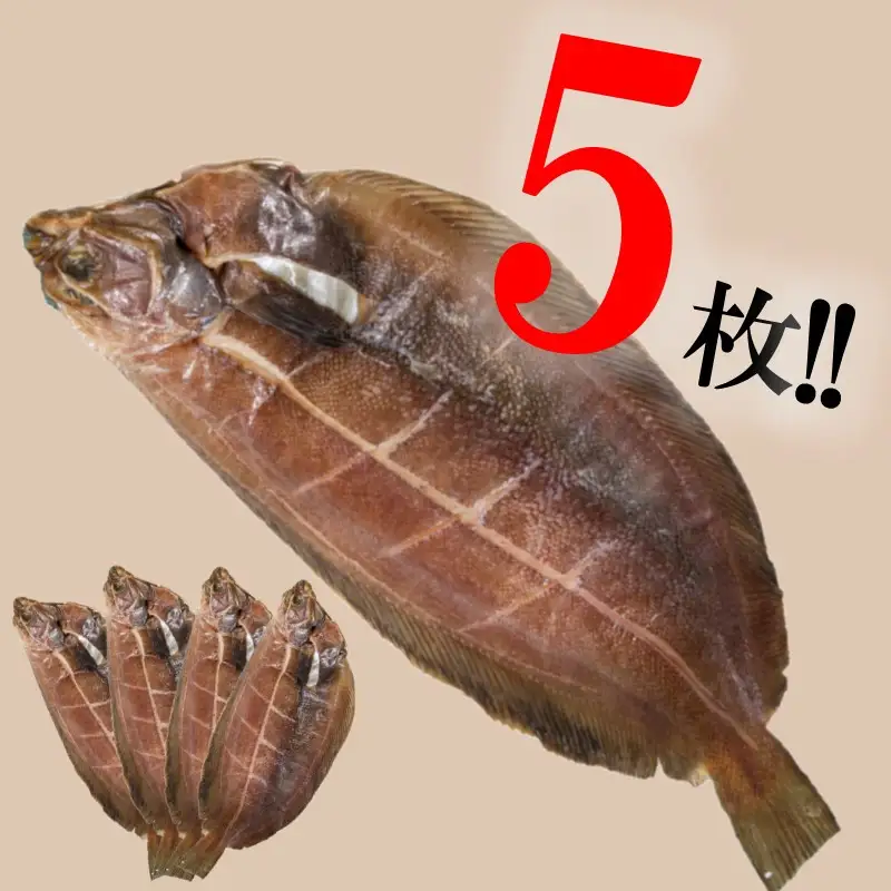 旨味凝縮！ナメタガレイの一夜干し 5枚セット 食べやすいカット入り ( 一夜干し 干物 セット 簡単 夕食 北海道 時短 カレイ おつまみ おかず )【094-0088】