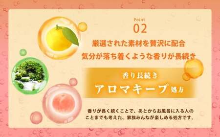 温泡 こだわり森 4種アソート 12箱 【2026年2月下旬より順次発送予定