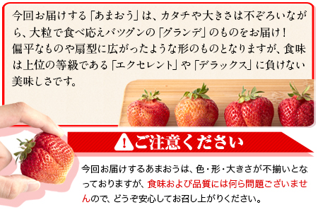 先行予約 あまおう1620g いちご 