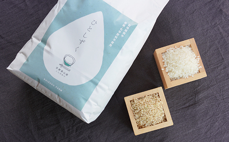 令和8年度産 新米先行予約 コシヒカリ 5kg 美山産 ひとしずく 農薬不使用 米 白米 精米 コメ お米 栽培期間中農薬不使用 単一原料米  ご飯 ごはん 安心 安全 こしひかり
