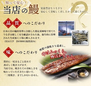 1尾約215g～240gのビッグサイズ うなぎ蒲焼 2尾 計約430g～480g （タレ・山椒付き） 【通常発送】【nks700B-y】