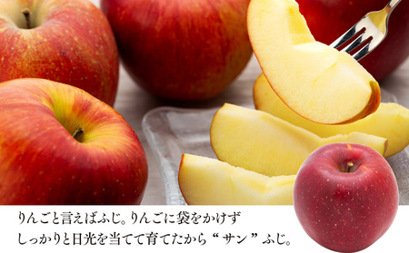 信州りんご サンふじ3kg ※オンライン決済限定 りんご リンゴ 林檎 長野 フルーツ 果物 信州産 長野県産 特産 産地直送 おすすめ