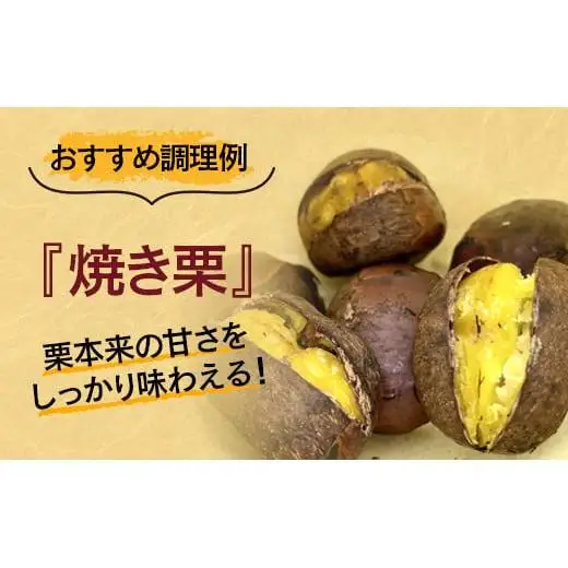 【先行予約】低温熟成栗 国産生栗1.5kg 糖度２～３倍  西都市産＜49-2a＞