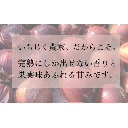 濱田農場の「飲むお酢」