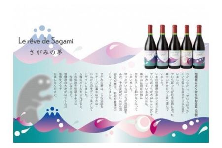 さがみの夢ワイン　飲みくらべ2本セット（「レギュラー」、「オン　ザ　ロック」各１本）