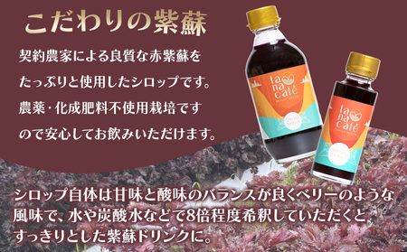 赤紫蘇シロップ 1本 300ml 紫蘇 tc-0007