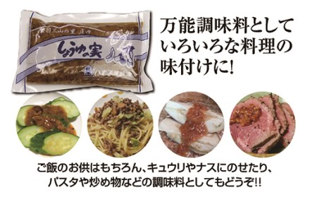 山形県庄内地方に伝わるご飯のお供「しょうゆの実（10袋）箱入りセット」老舗ハナブサ醤油の伝統の味 ギフトにもどうぞ F2Y-3172