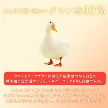 抜群のあたたかさ上質羽毛掛布団ダウン93%DP400　1.9kg入りダブルオフ白_雑貨・日用品 布団 寝具 _【1128442】