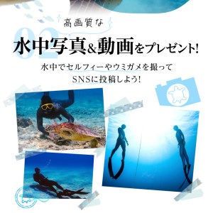 スキンダイビング（ 2名様 ） A051-002 アクティビティ 体験型 体験チケット 2名分 ガイド付 完全貸切 OCEANZ-オーシャンズ ふるさと納税 鹿児島県 奄美市 おすすめ ランキング プレゼント ギフト